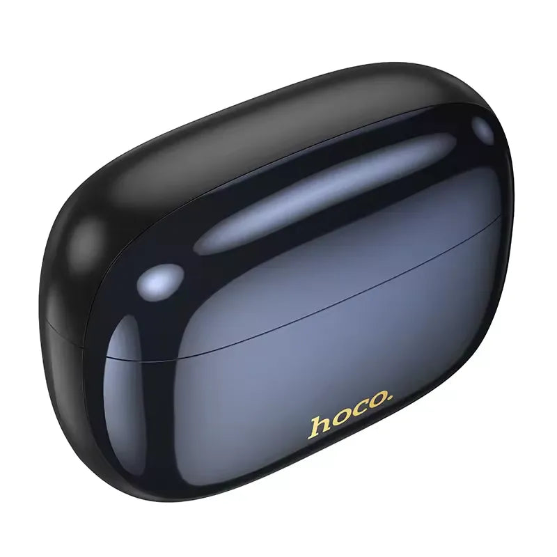 HOCO EQ20 ANC ENC Wireless Earbuds Black detail